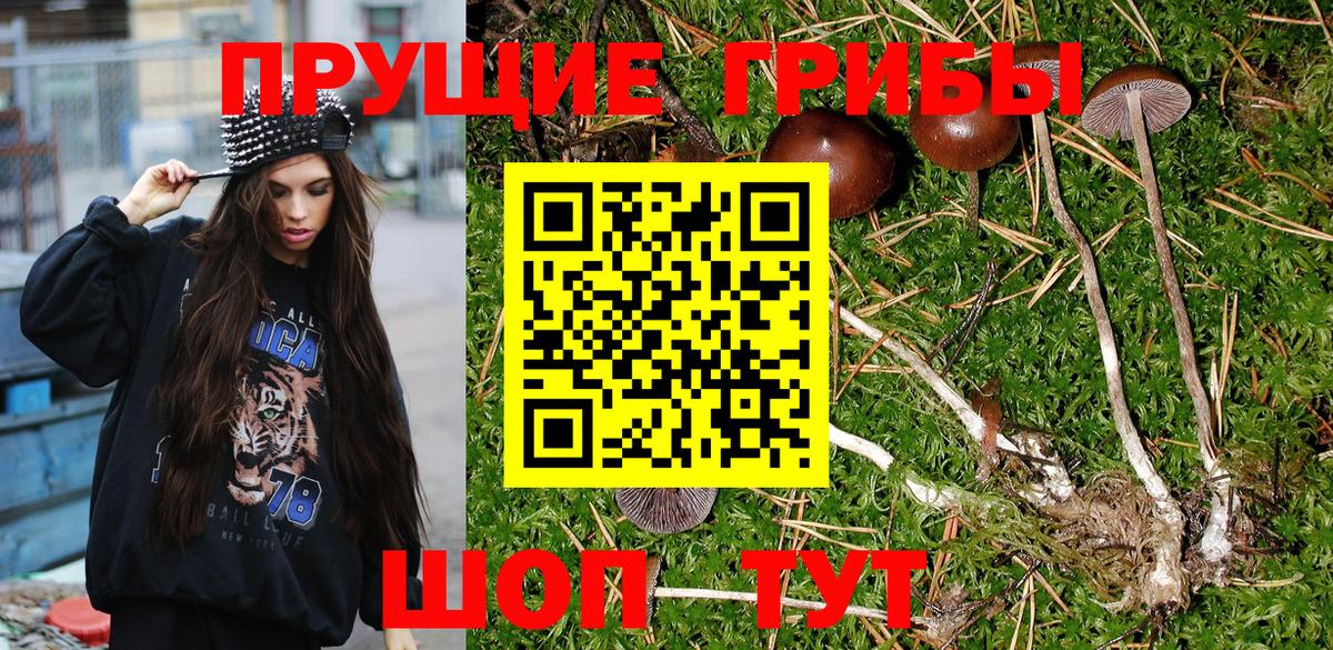 Галлюциногенные грибы MAGIC MUSHROOMS  Галлюциногенные грибы Psilocybe  Краснознаменск  Вход с VPN 